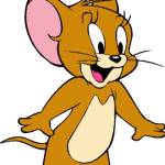 Ibrahim Biplob Profile Picture