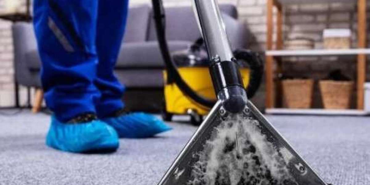 Revitalize Your Home Finding the best upholstery cleaning service near me