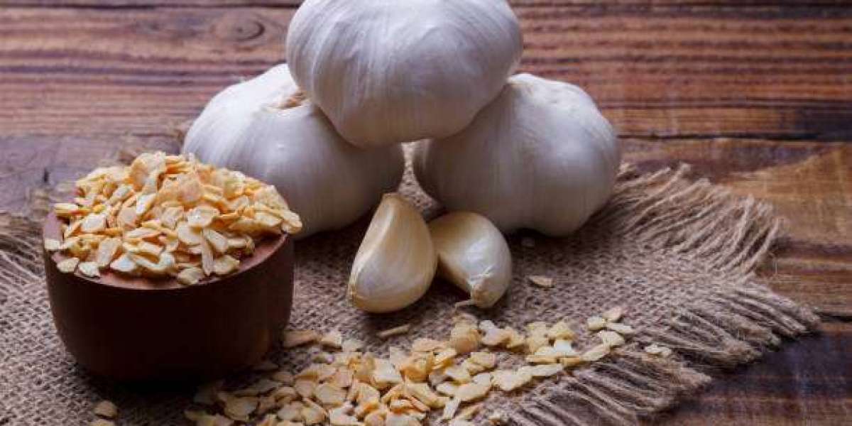 Dehydrated Garlic Market Trends: Rising Processed Food Demand Driving Industry Expansion