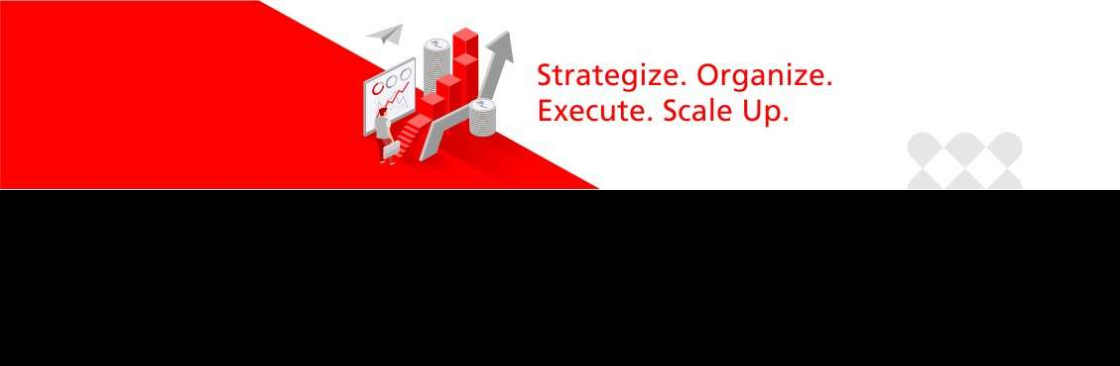 The White Lotus Consultants Cover Image