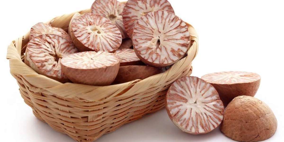 Roadmap for Setting up a Areca Nut Processing Plant Project | Report by IMARC Group