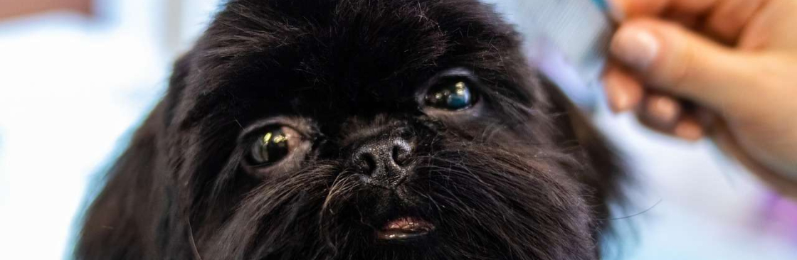 Fluffy Tails Qatar Cover Image