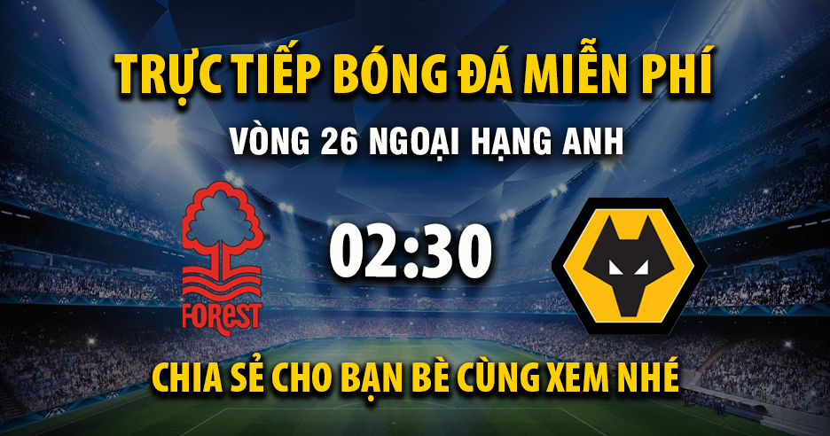 Link trực tiếp Nottingham Forest vs Wolverhampton 02:30, ngày 12/02 - Xoilac365.tv