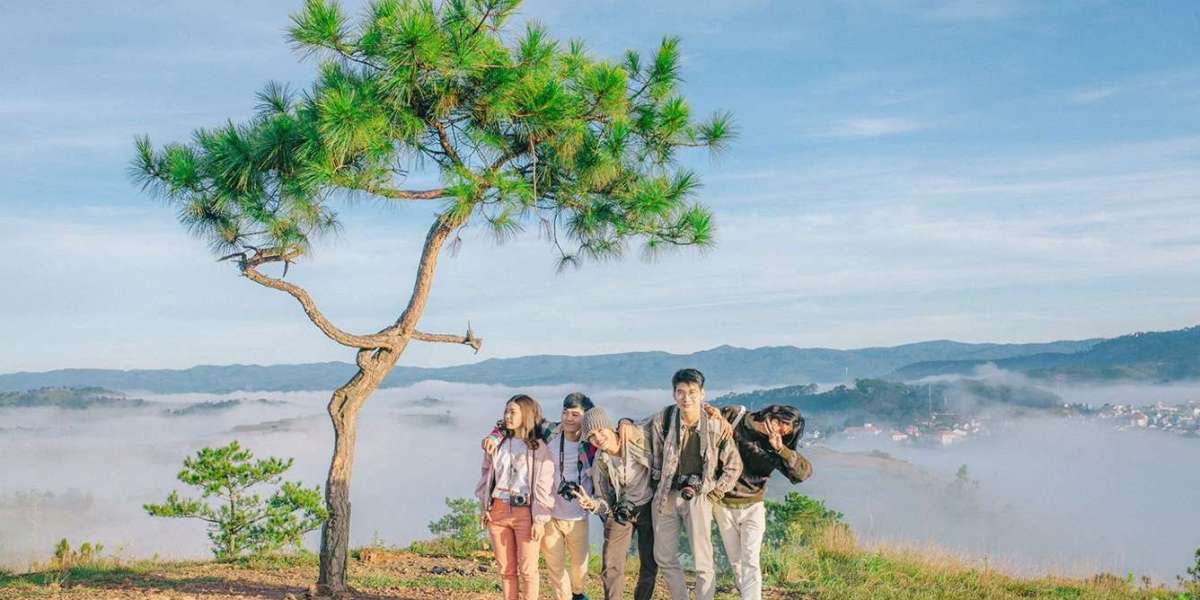 Top 5 địa điểm săn mây cực phẩm tại Đà Lạt cho chuyến đi mùa hè 2026