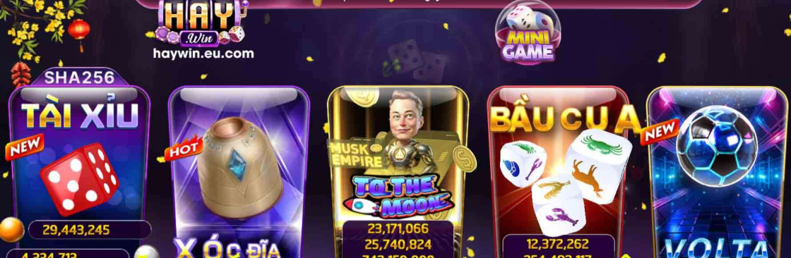 HAYWIN EU Cover Image