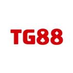 tg888betcom Profile Picture