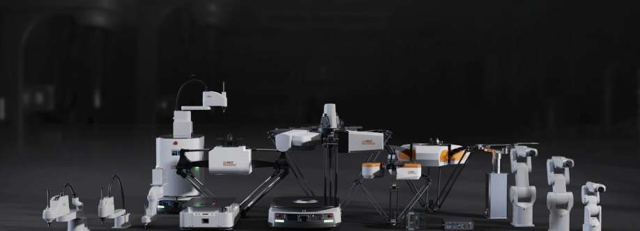 rprobotic com Cover Image