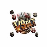 V9BET APP Profile Picture