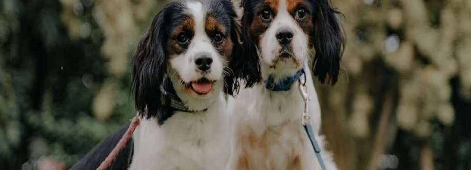 Alpha K 9 Dog Training Cover Image