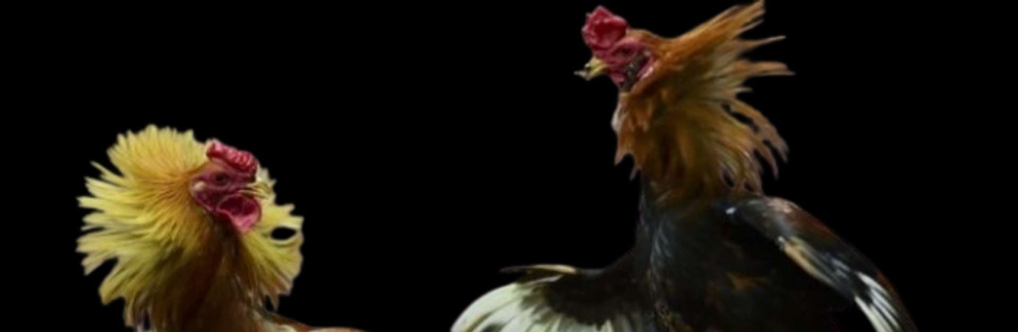 GACAM888 Cover Image