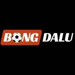 bongdaluschool profile picture