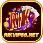 Rikvip66 Net Profile Picture