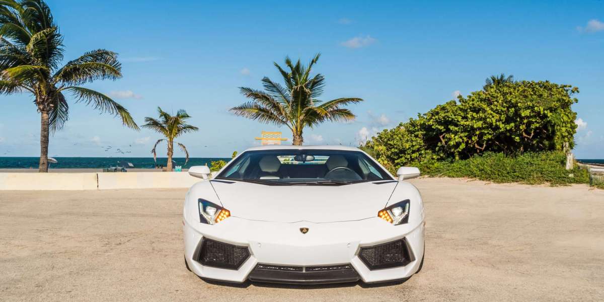Experience the Glamour of Miami from Behind the Wheel
