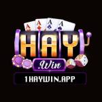 Haywin Cổng Game Uy Tín, Cá Cược Trực T Profile Picture