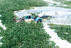 Floating Trash Collector Lake Cleaning Machine - Clean Water Solutions for Lakes & Rivers