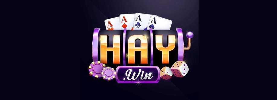 HAYWIN Cover Image