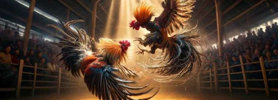 ĐÁ GÀ TRỰC TIẾP Cover Image