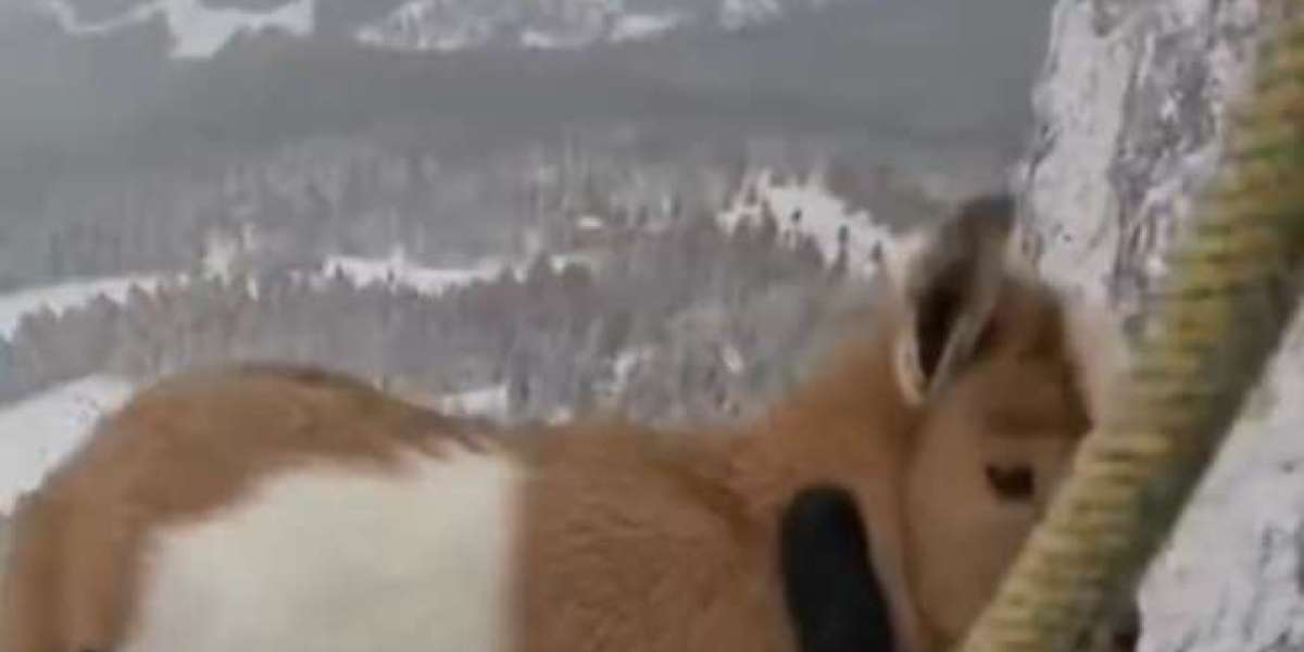 Fast response times not only improve resident satisfaction