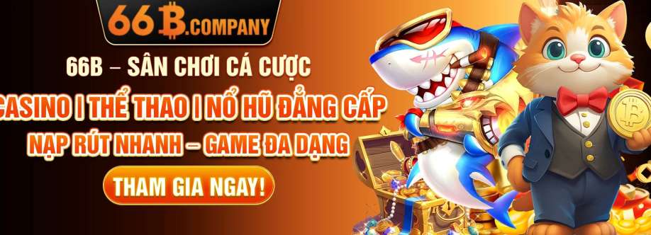 66B company Cover Image