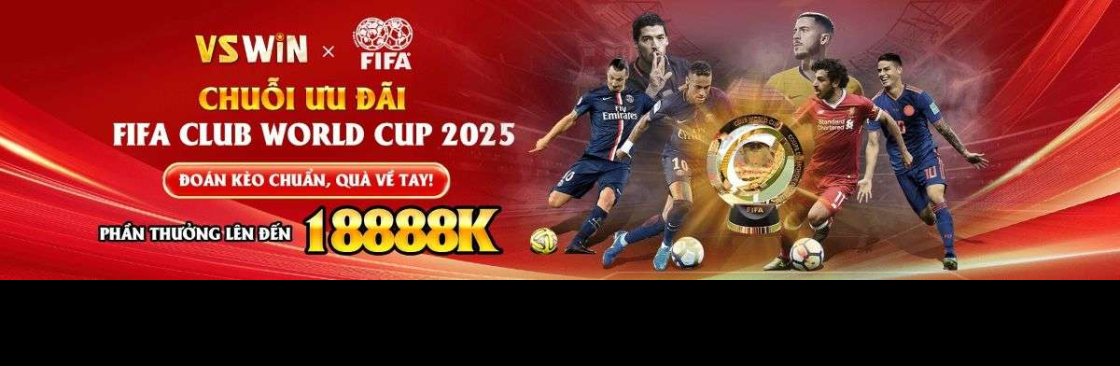 VSWIN VSWIN Cover Image