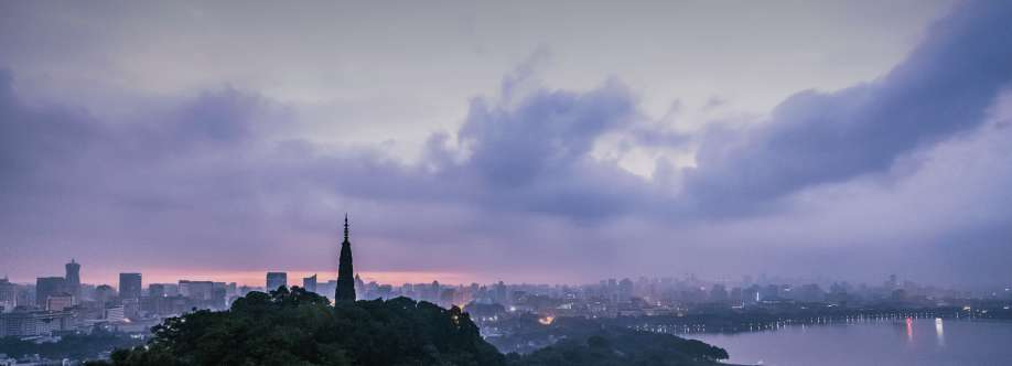 zyloxtb com Cover Image