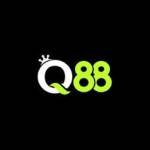 q88aorg Profile Picture