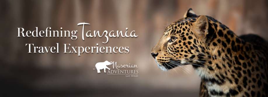 Naserian Adventures Cover Image