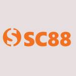 sc88solutions1 Profile Picture