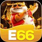 e66 e66 profile picture